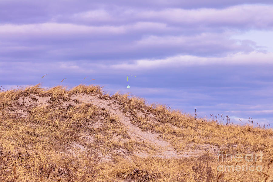Hampton beach sand dunes Photograph by Claudia M Photography