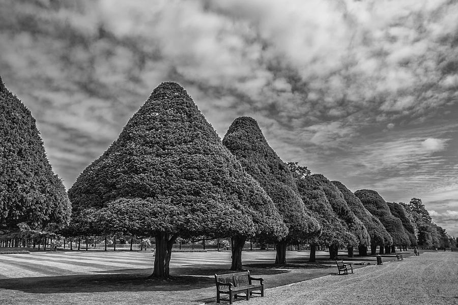 Hampton Palace Gardens Photograph by Elvira Butler
