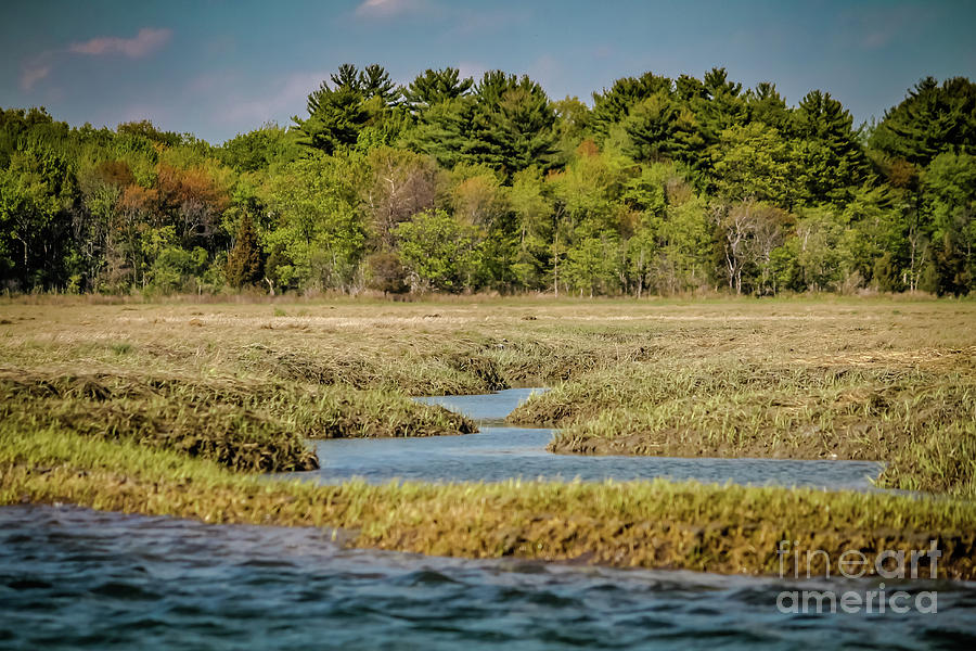 Hampton river low tide Photograph by Claudia M Photography