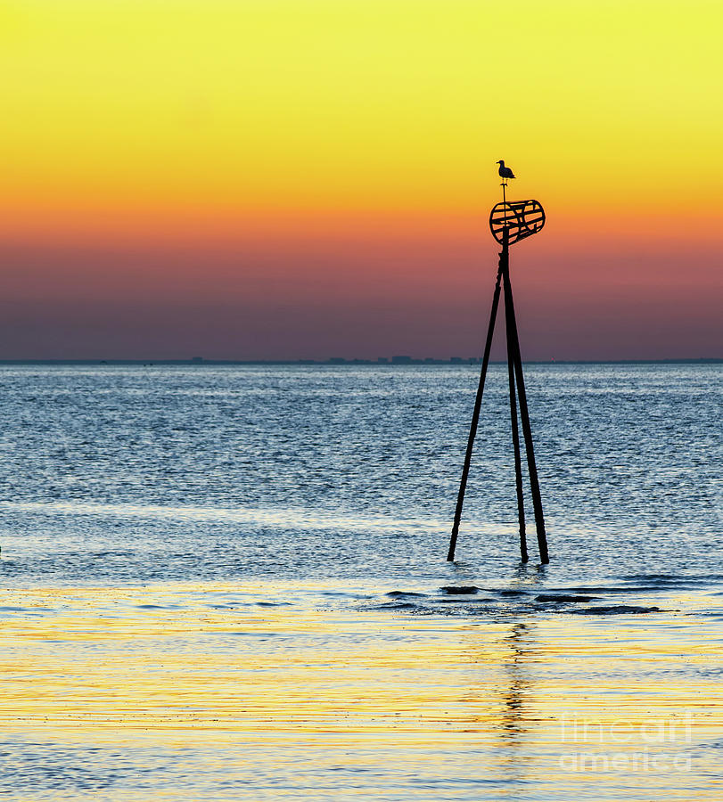 Hampton Sunset Photograph By Paul Martin - Fine Art America