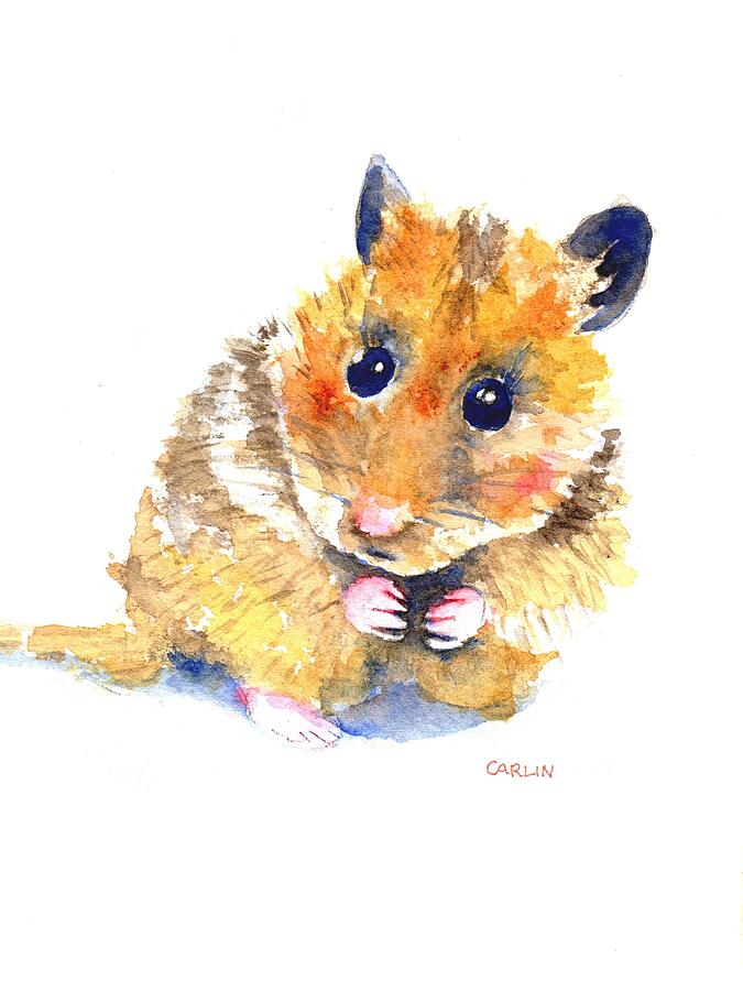 Hamster Watercolor Painting Painting by Carlin Blahnik CarlinArtWatercolor