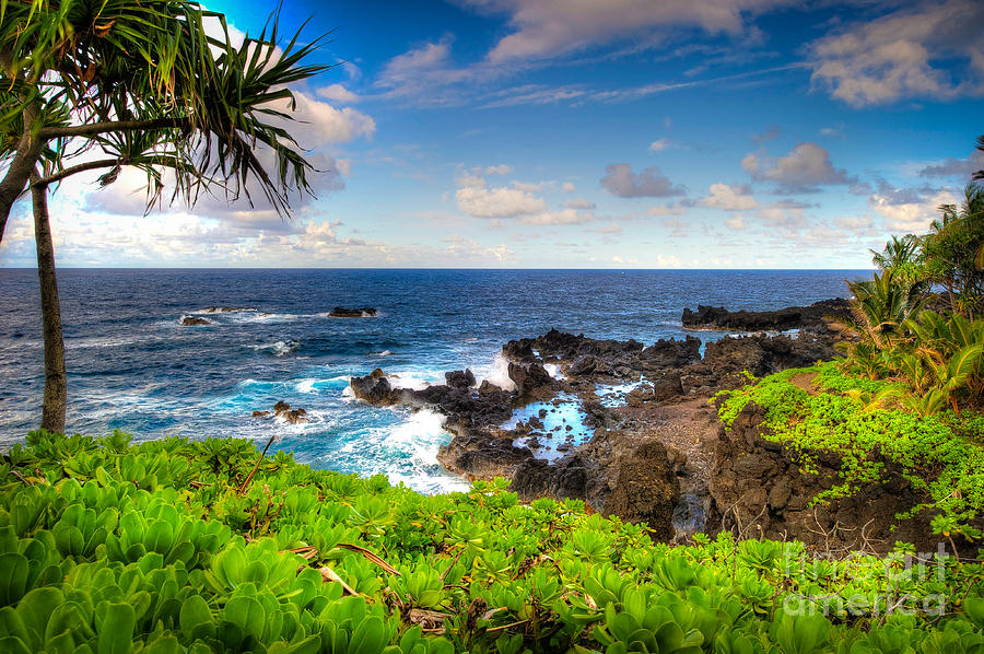 Hana Coastal Walk Photograph by Ken Andersen - Fine Art America