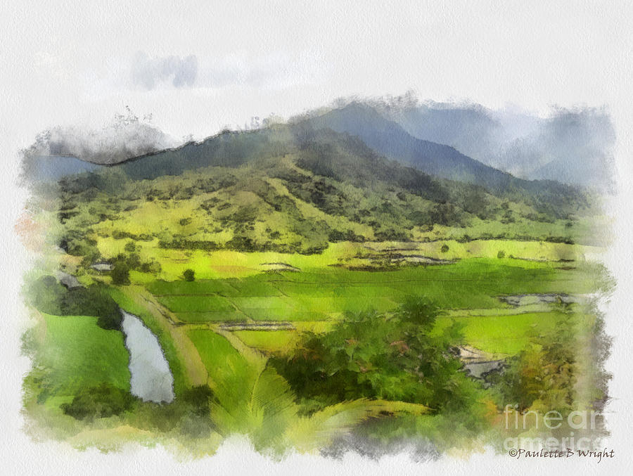 Hanalei Valley Painting by Paulette B Wright