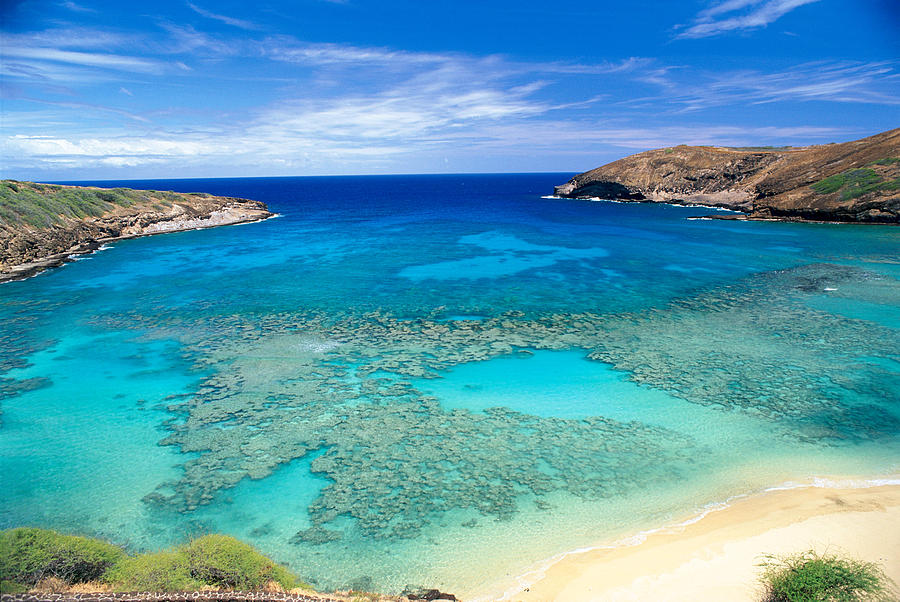 Above Photograph - Hanauma Bay by Peter French - Printscapes