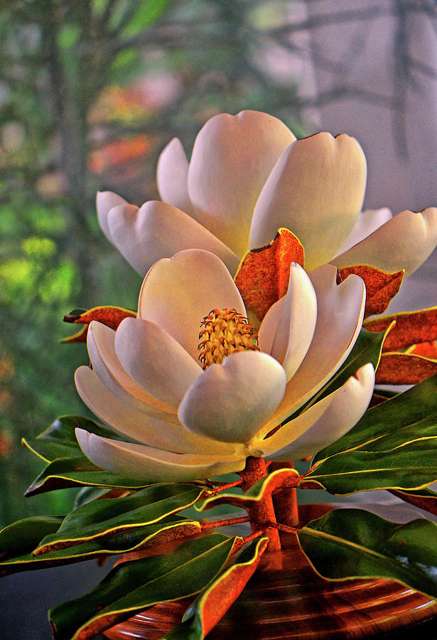 Hand Carved Wooden Magnolia 001 Photograph by George Bostian