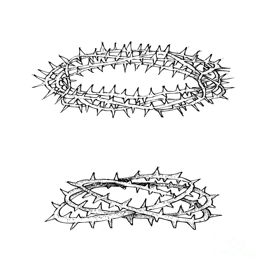 Hand Drawn Crown Of Thorns On White Background Drawing By Iam Nee Pixels