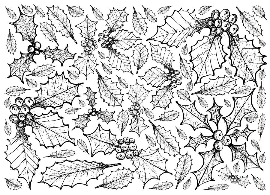 Hand Drawn of Christmas Holly Twig Background Drawing by Iam Nee - Pixels