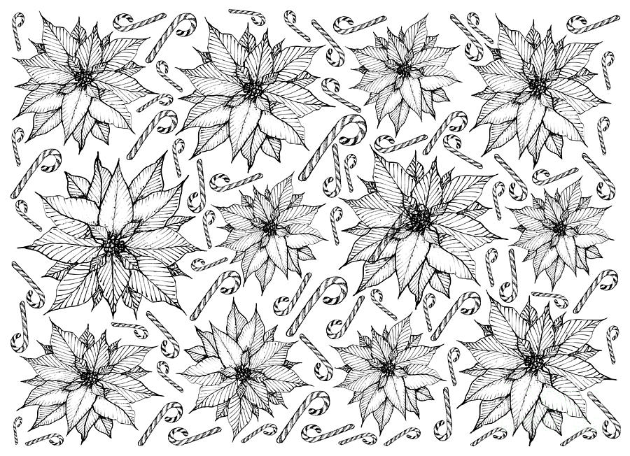 Christmas Drawing - Hand Drawn of Christmas Poinsettia Flowers with Candy Cane  by Iam Nee