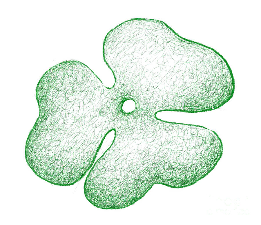 Sacrosegtam Three Leaf Clover Images