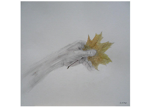 Hand Holding An Autumn Leaf Drawing By Leo De Freyne