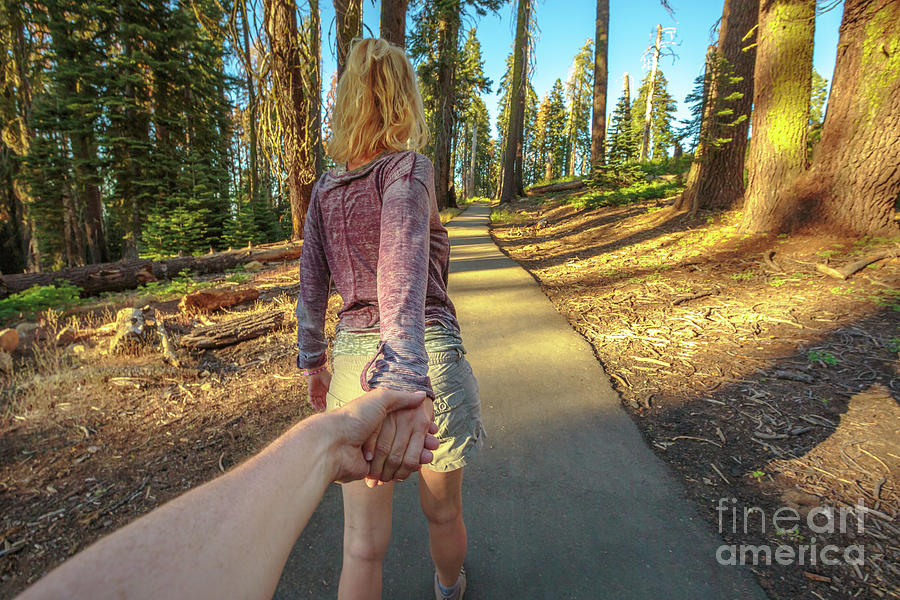 Hand in hand Sequoia Hiking Photograph by Benny Marty