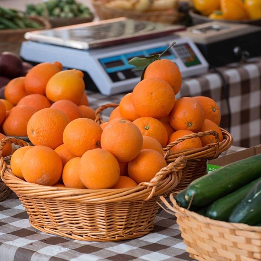 Tucson Photograph - Oranges at the Farmers Market by Michael Moriarty