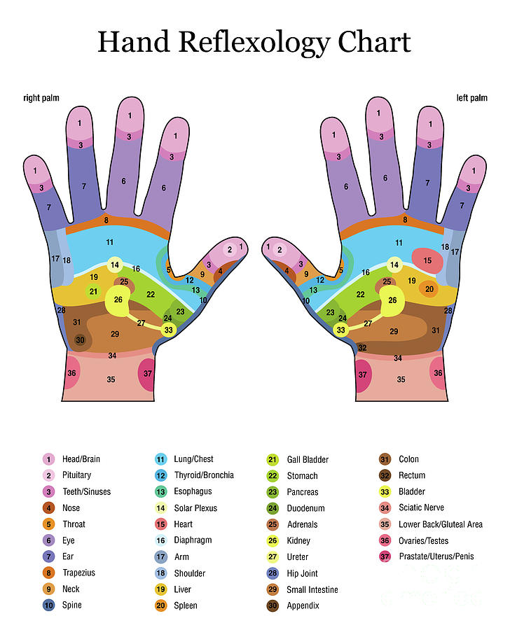 Hand Reflexology