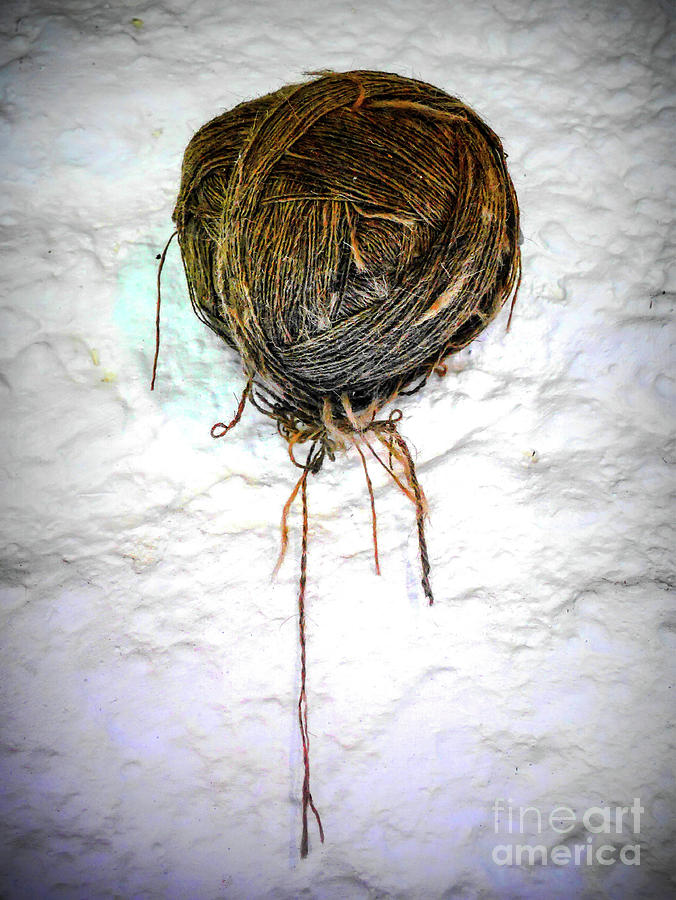Hand Spun Wool on Wall Photograph by Lexa Harpell