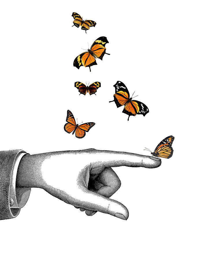 Hand With Orange Monarch Butterfly Digital Art by Madame Memento - Fine ...