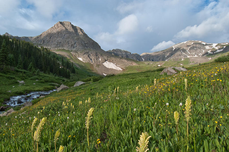 Handies Peak Summer Landscape Photograph by Cascade Colors