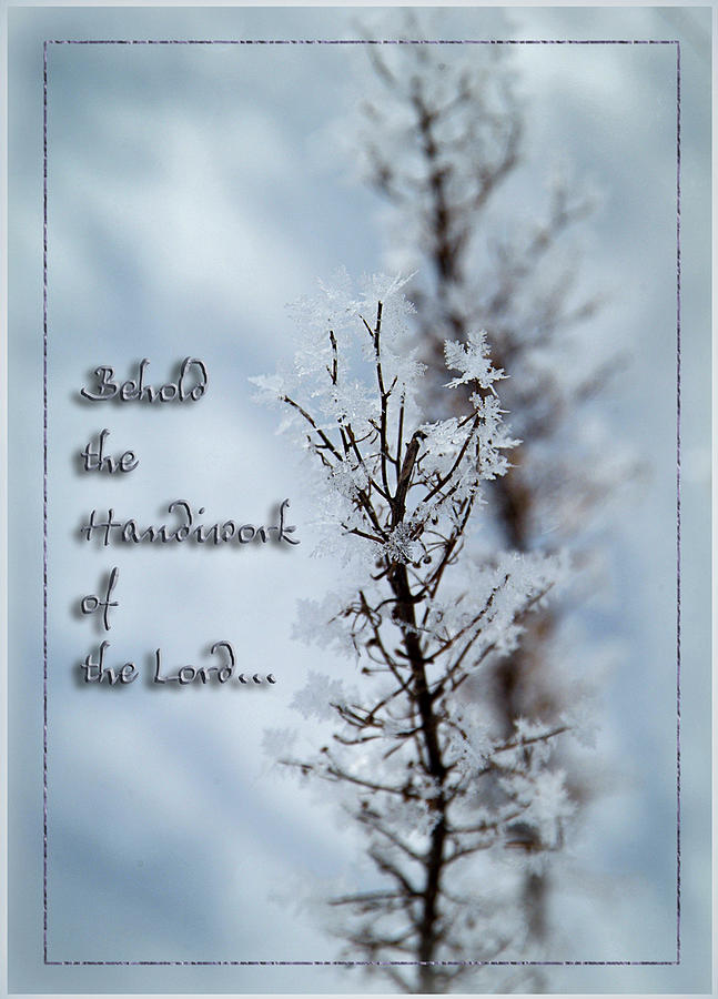 Snowflakes Photograph - Handiwork of the Lord by Darlene Smithers