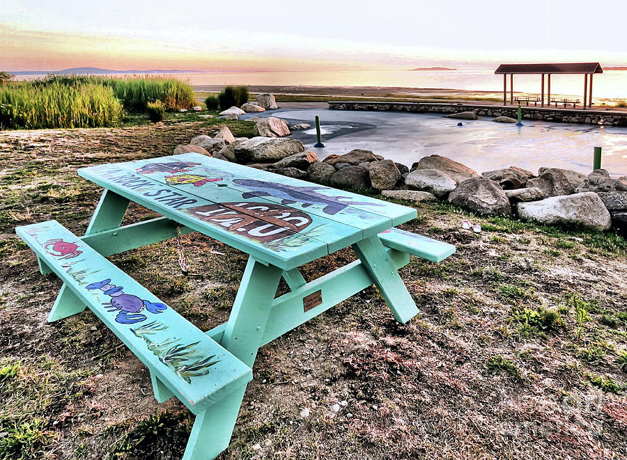 Handpainted Picnic Table Photograph by Janice Drew