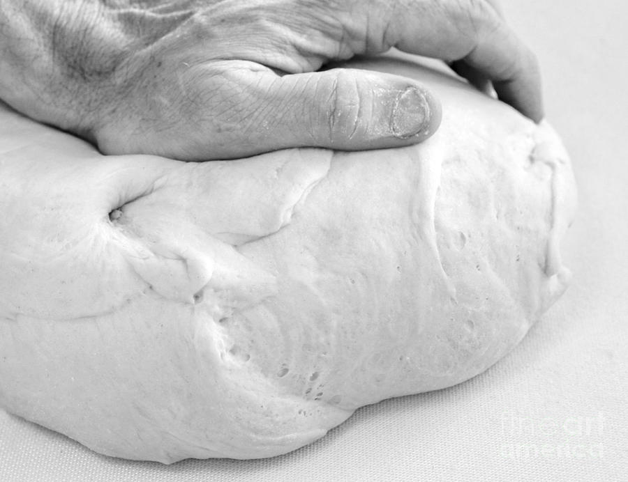 Bread Photograph - Hands of a baker kneading dough by Oren Shalev
