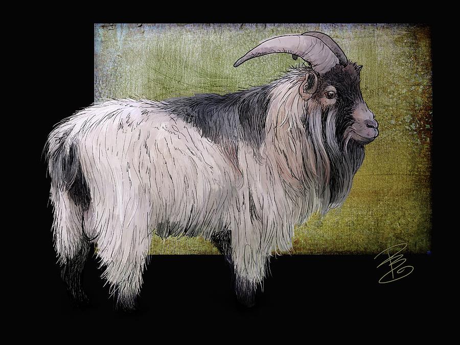 Handsome pygmy goat Digital Art by Debra Baldwin