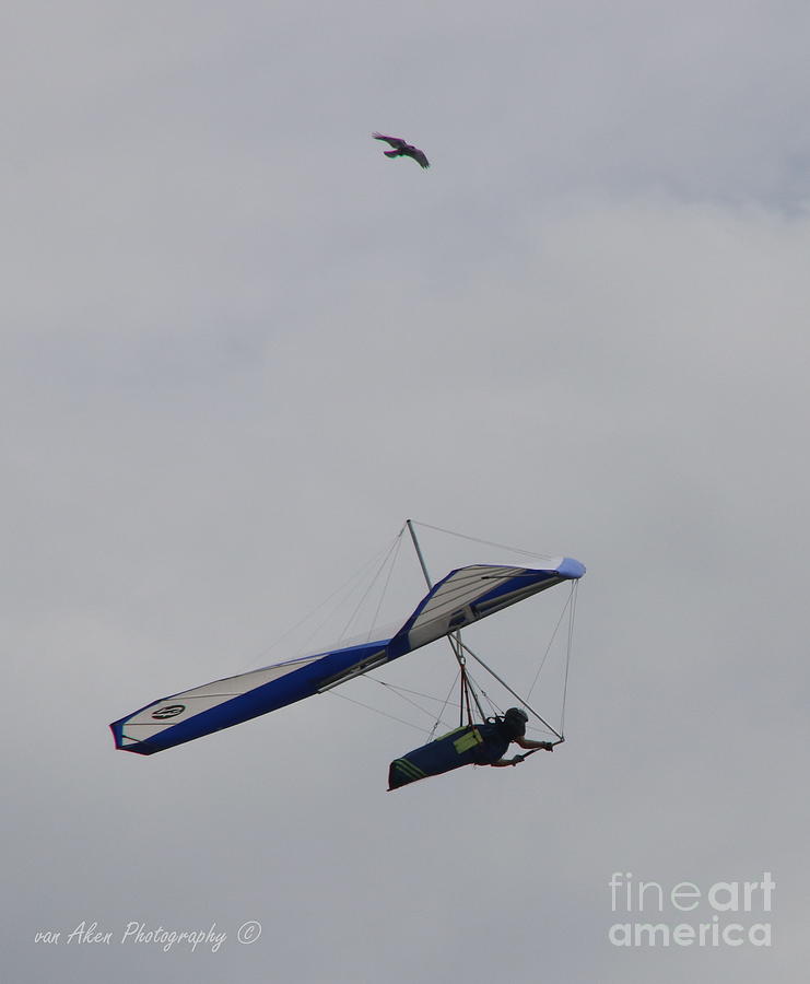 Hang Glider and Bird Photograph by Mikhael van Aken Fine Art America