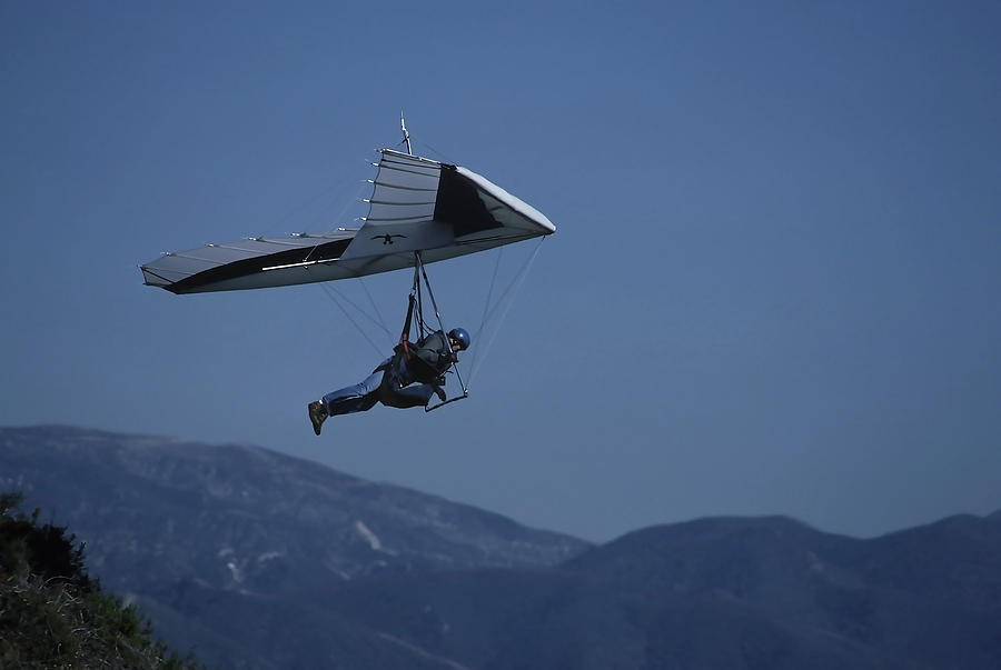 Hang Glider Photograph by Joe  Palermo