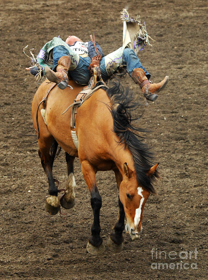 Hang Loose Cowboy Photograph by Bob Christopher
