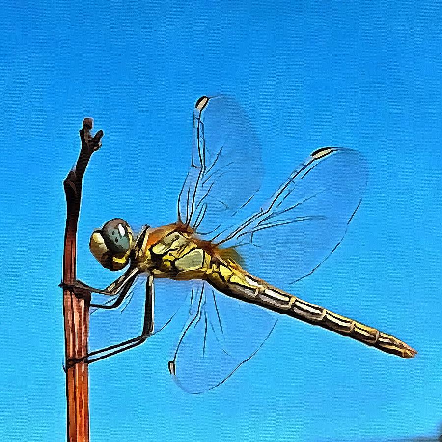 Hang On In There Artistic Dragonfly Painting by Taiche Acrylic Art