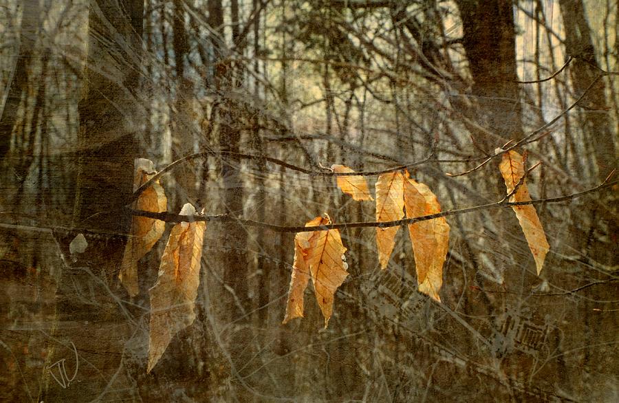 Hangers On Photograph by Jim Vance