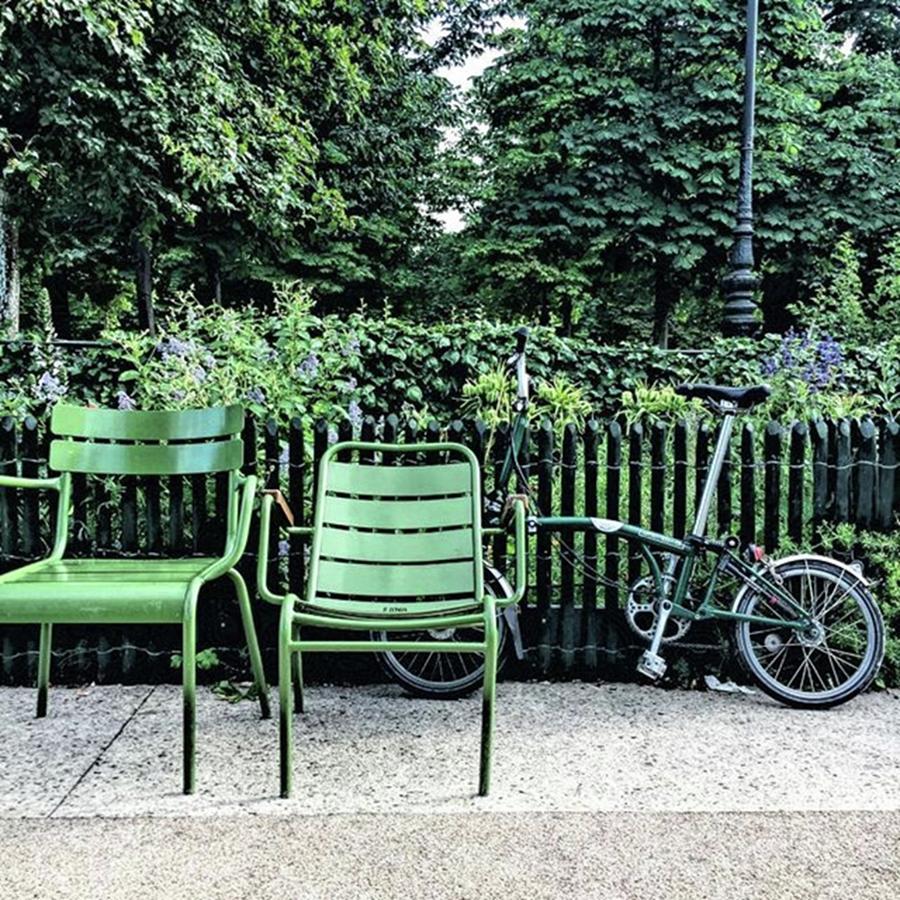 Paris Photograph - Tuileries in Green by Jessica Kaplan