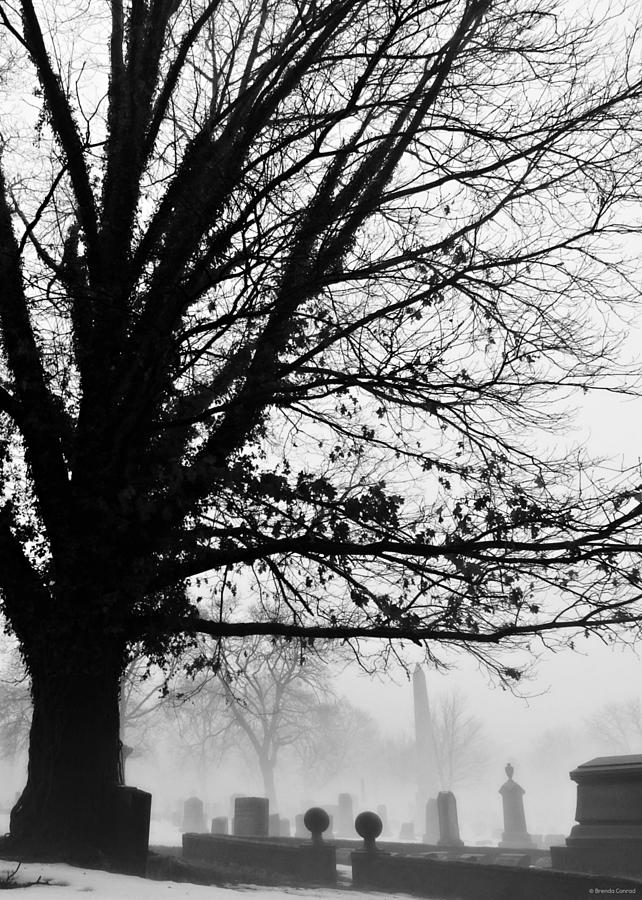 Hangin Tree Photograph by Dark Whimsy