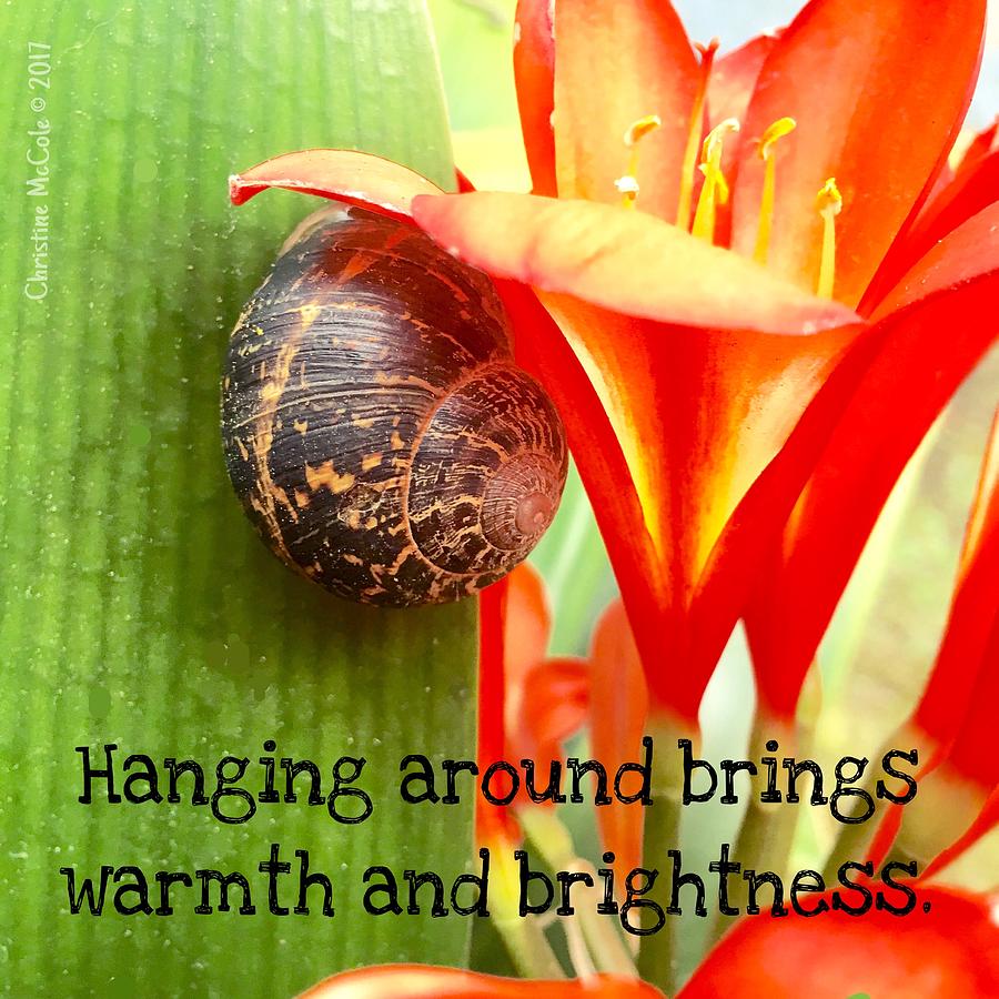 Hanging around brings warmth and brightness Photograph by Christine McCole