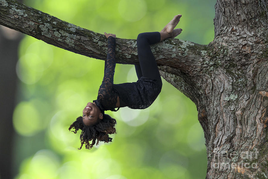 Hanging around on a tree limb Photograph by Dan Friend