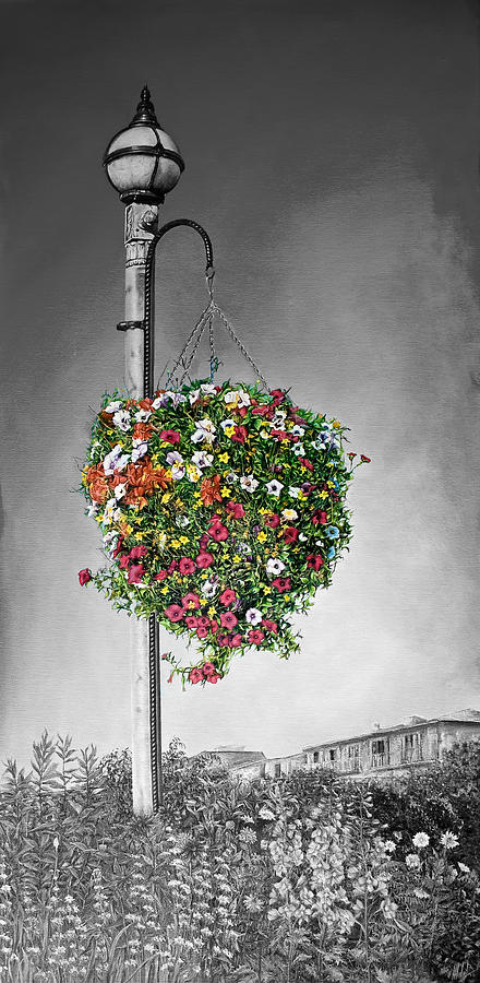 Hanging Basket in Black and White Digital Art by Michelangelo Rossi