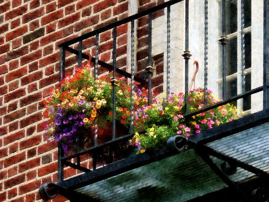 Hanging Basket on Fire Escape Photograph by Susan Savad