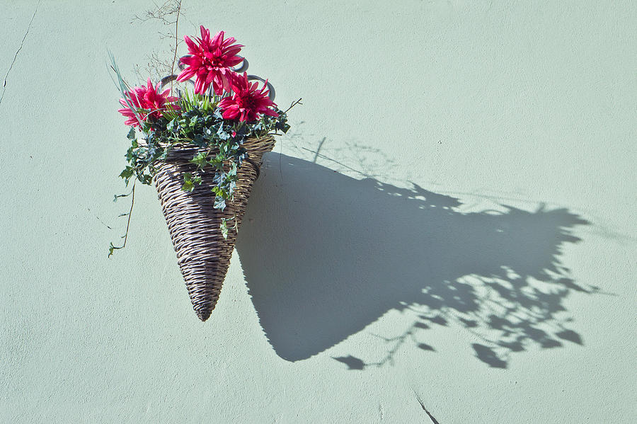 Flower Photograph - Hanging basket by Tom Gowanlock
