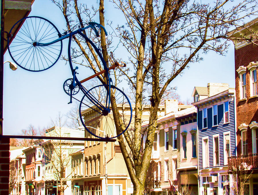 Hanging Bicycle in Catskill NY Photograph by Nancy De Flon