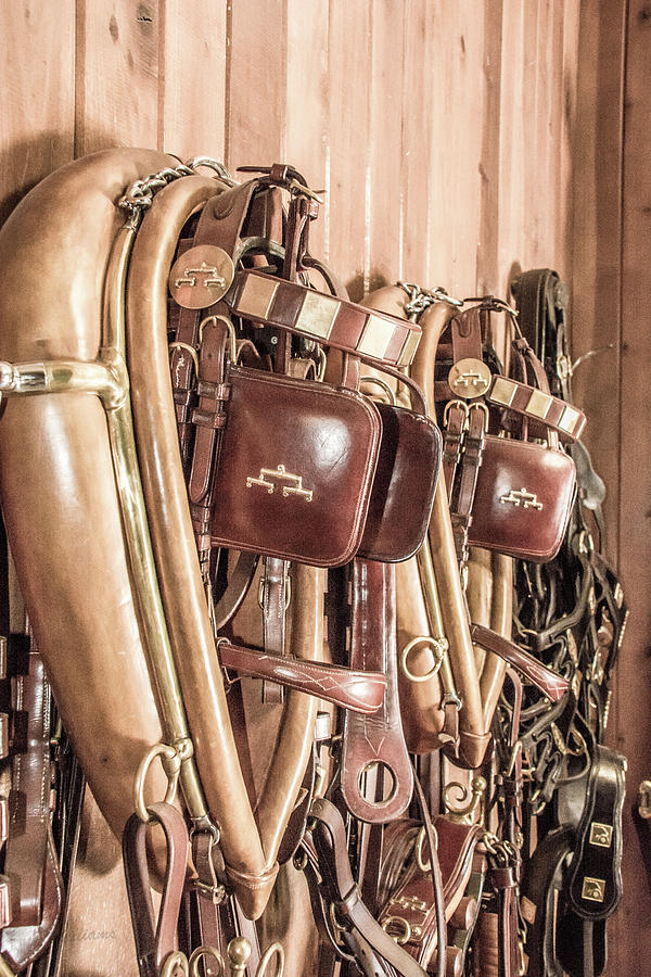 Hanging Bridles Photograph by Pamela Williams