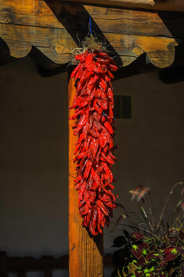 Vegetable Photograph - Hanging Chilli Peppers by Garry Gay