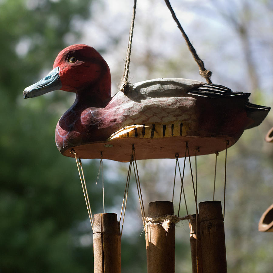 Hanging Duck, Balcony Garden, Hunter Hill, Hagerstown, Maryland, Photograph by James Oppenheim