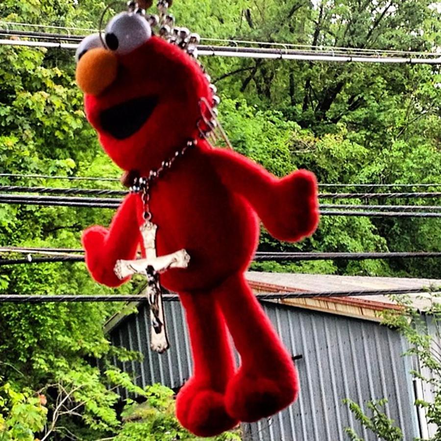 Hanging Elmo Photograph by Jose Rojas