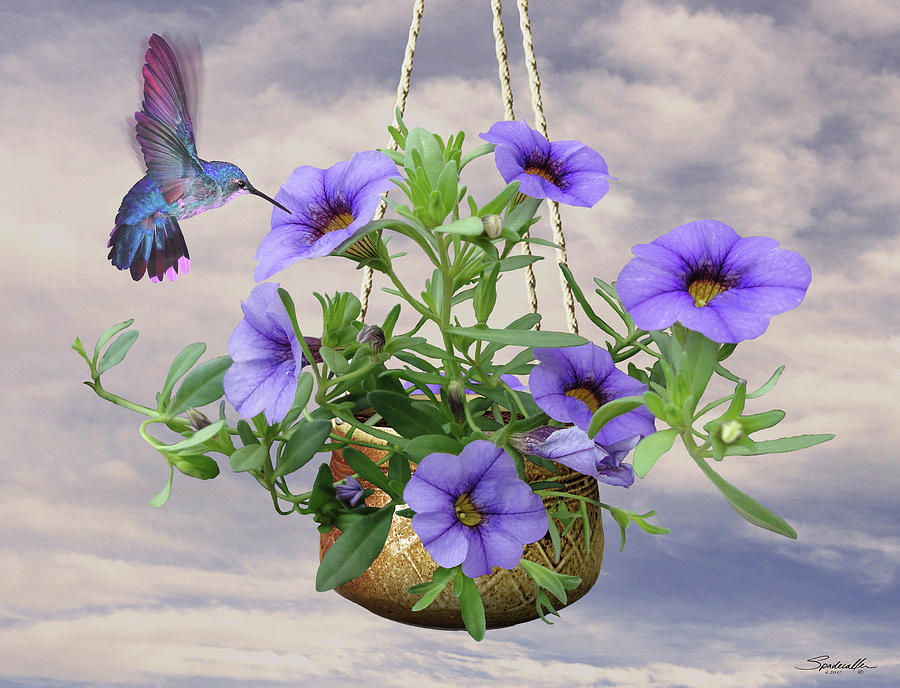 Hanging Flowers and Hummingbird Digital Art by M Spadecaller