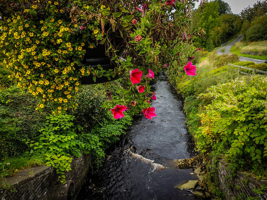 Hanging Flowers over the Owenslieve River in County Clare Photograph by James Truett