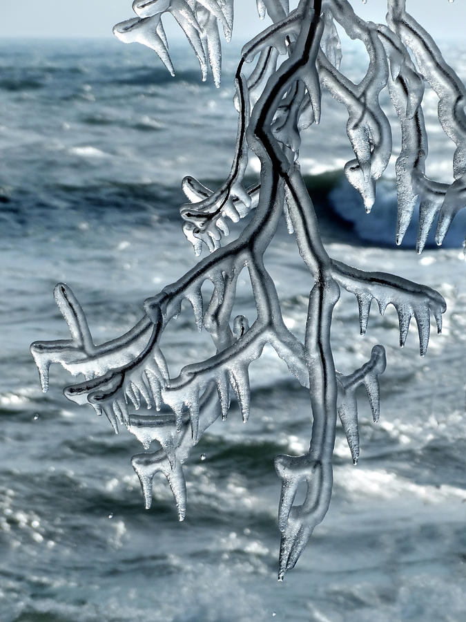 Hanging Ice Sculpture Photograph by David T Wilkinson