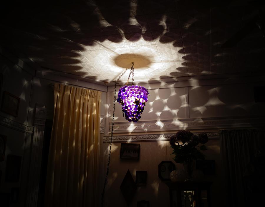 Hanging Lamp Photograph by Deborah D Russo