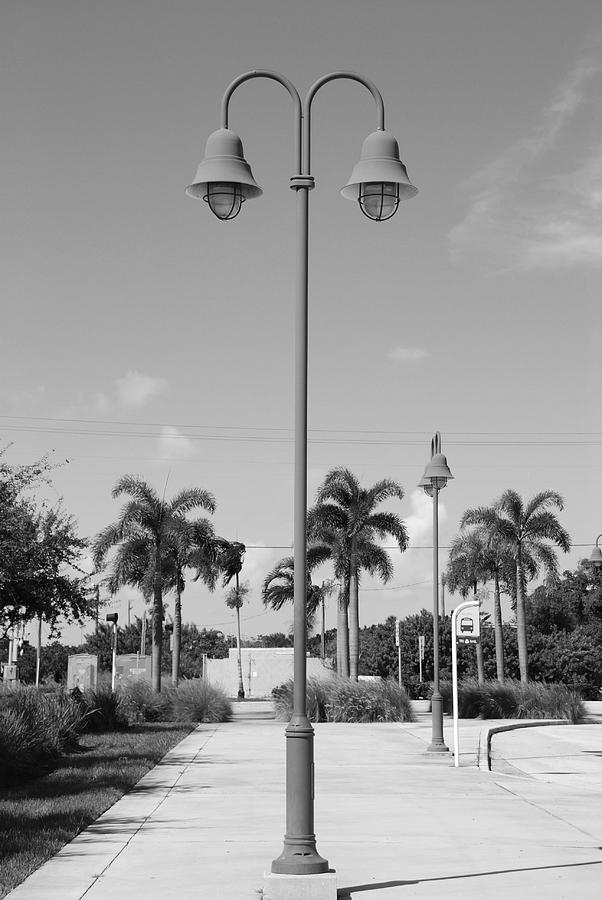 Black And White Photograph - Hanging Lamps by Rob Hans