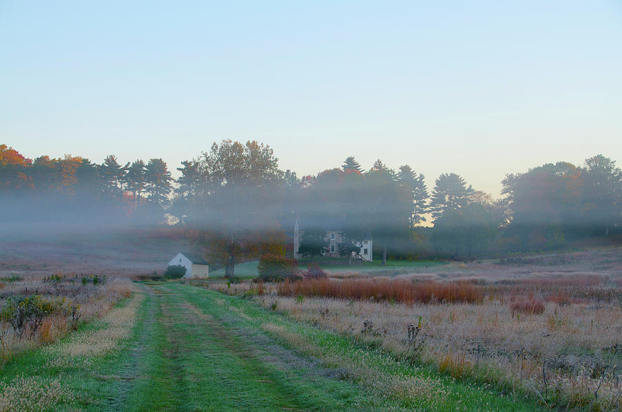 Hanging Mist in Valley Forge Photograph by Bill Cannon