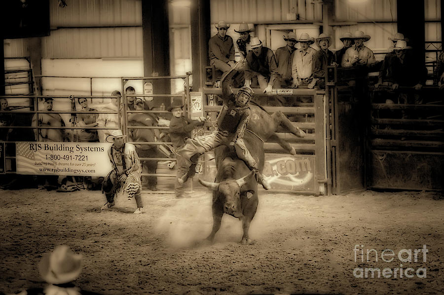 Rodeo Photograph - Hanging on by Dan Friend