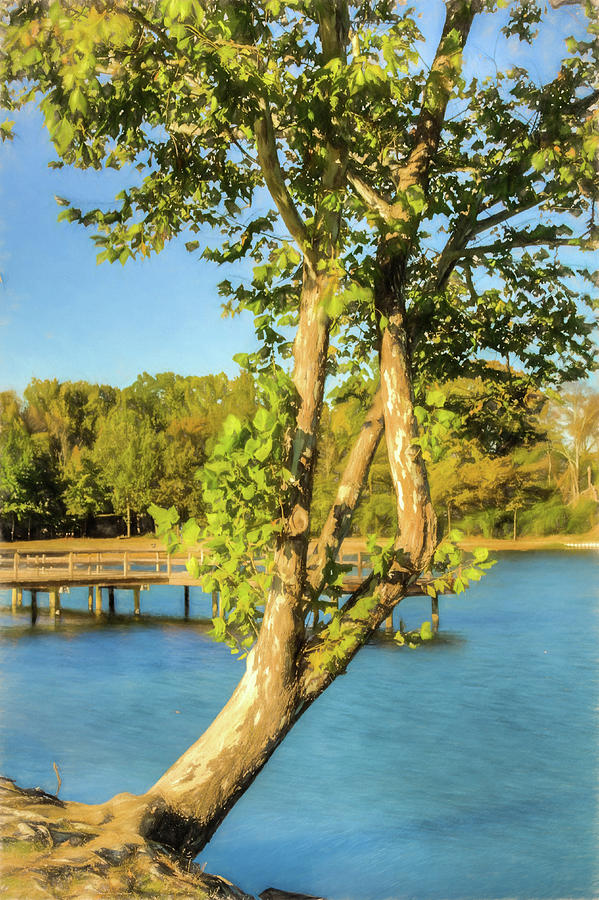 Hanging On - Lakeside Landscape Photograph by Barry Jones