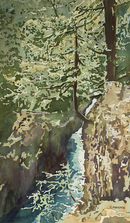 Tree Painting - Hanging Out at Opal Creek by Jenny Armitage
